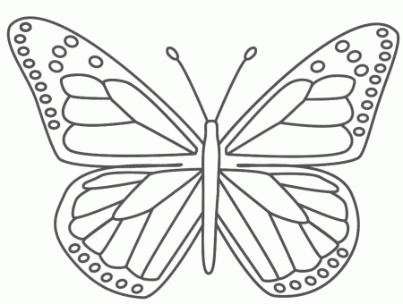 Butterfly - Coloring Pages for Kids and for Adults