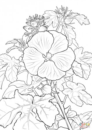Pua Aloalo or Hawaiian Hibiscus coloring page | Free Printable ...