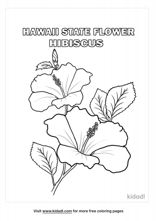 Hawaii State Flower Coloring Pages | Free Flowers Coloring Pages | Kidadl