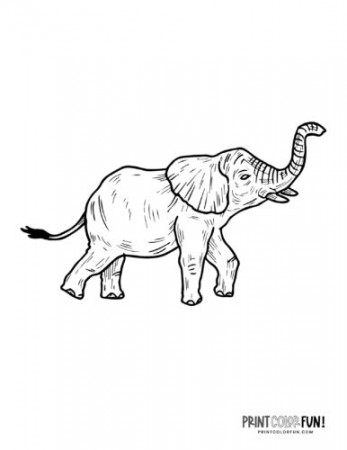 6 realistic elephant coloring pages to print - Print Color Fun!