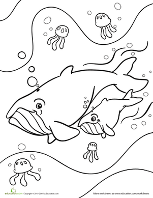 Humpback whale coloring pages for kids