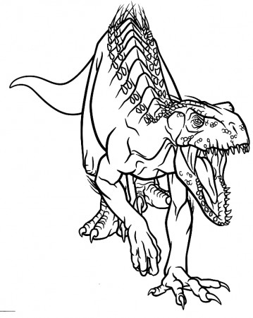 Drawing 14 from Dinosaurs coloring page