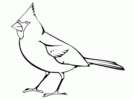 Ohio state bird coloring pages