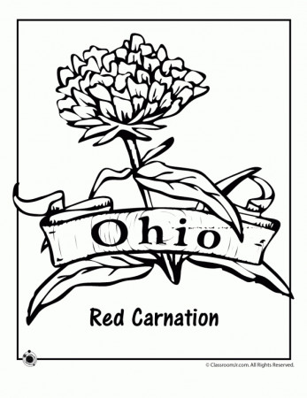 Free Ohio State Buckeyes Coloring Pages, Download Free Clip Art, Free Clip  Art on Clipart Library