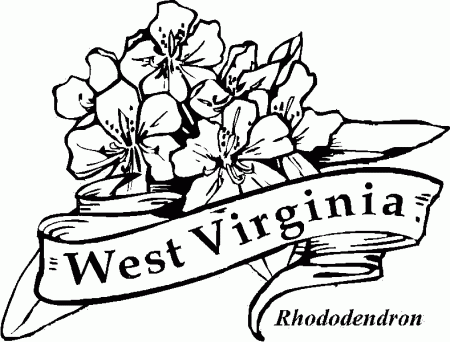 images of west virginia state flowers coloring pages - Google ...