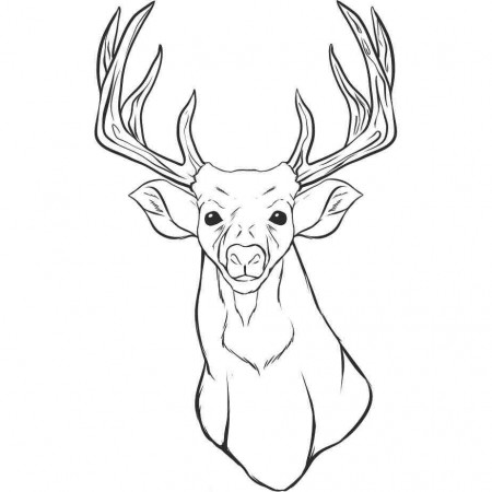 Coloring Pages: Deer Coloring Pages Printable | Police-access.info