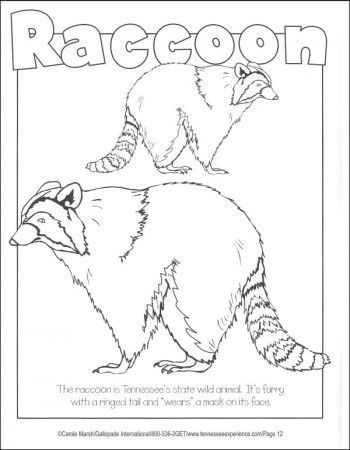 Tennessee Coloring Book | Gallopade International | 9780793398706