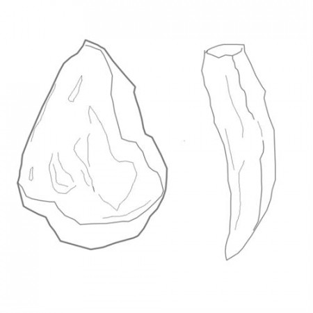 Coloring pages of Bone and Stone tools- image 12