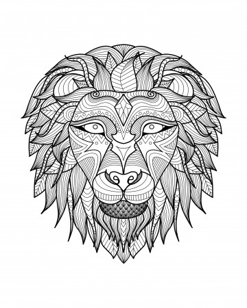 African Lion Head Coloring Pages for Adults - Get Coloring Pages