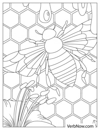 Free BEE Coloring Pages & Book for Download (Printable PDF) - VerbNow