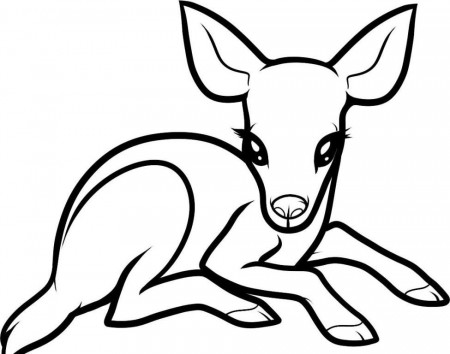 Deer Coloring Pages Printable Free - Coloring Page