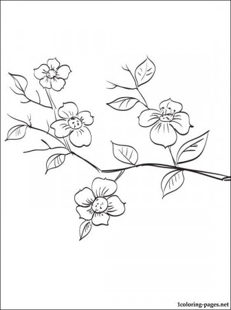 Flowering fruit tree branch coloring page | Coloring pages | Tree coloring  page, Spring tree, Flower outline tattoo