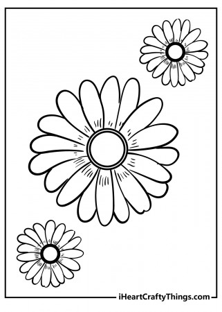 Printable Daisy Coloring Pages (Updated 2022)