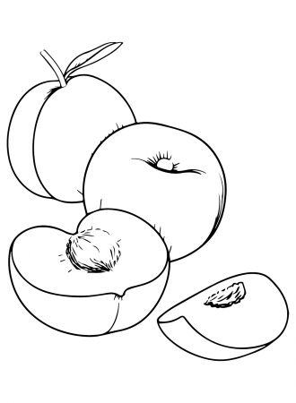 Ripe Nectarine Coloring Pages - Nectarine Coloring Pages - Coloring Pages  For Kids And Adults