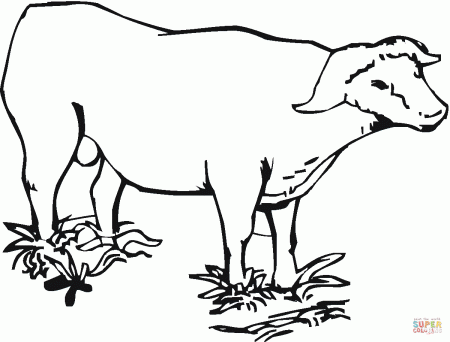 Cape (african) buffalo coloring page | Free Printable Coloring Pages