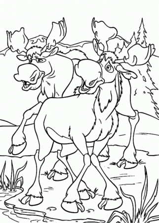 Moose Coloring Pages | UniqueColoringPages