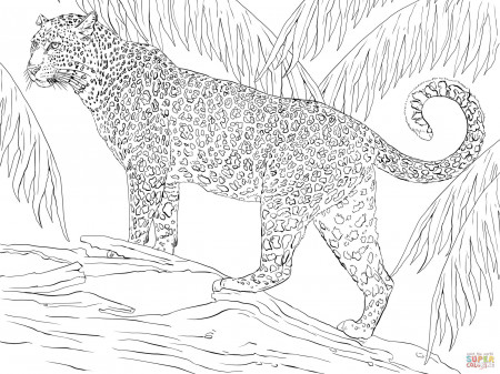 Jaguars coloring pages | Free Coloring Pages