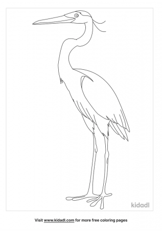 Heron Coloring Page | Free Birds Coloring Page | Kidadl