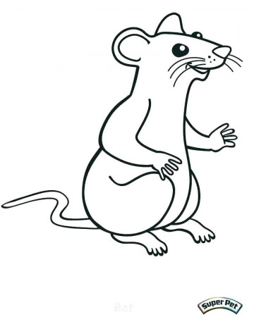 Beautiful Lab Rats Coloring Pages For Skunk Coloring Pages Flower ...