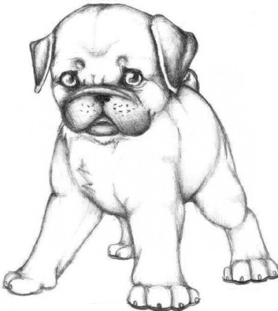 Cute Pug Coloring Pages at GetDrawings | Free download