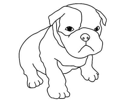 Pin on Boxer Dog Coloring Pages