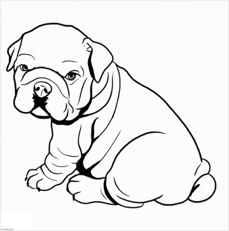 Pitbull Coloring Pages for Dog Lovers | Educative Printable | Dog coloring  page, Puppy coloring pages, Bulldog drawing