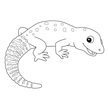 Premium Vector | Leopard gecko animal isolated coloring page
