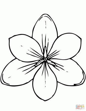 Magnolia coloring page | Free Printable Coloring Pages