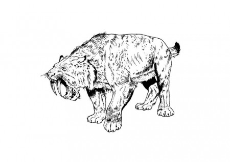 Coloring Page saber tooth tiger - free printable coloring pages - Img 9106