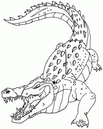 Crocodile coloring page - Animals Town - animals color sheet - Crocodile  free printable coloring pages animals