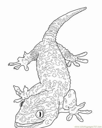 Lizard Coloring Pages - 109 Lizard printable pages and coloring sheets