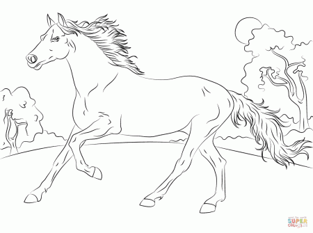Beautiful Horses Coloring Pages For Adults - Coloring Pages For ...