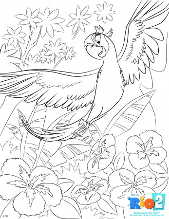 Free Rio 2 Coloring Pages in 2023 | Bird coloring pages, Coloring books, Coloring  pages