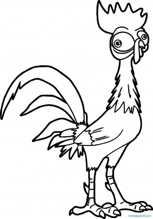 Image result for hei hei rooster black and white | Moana coloring pages,  Disney coloring pages, Moana coloring