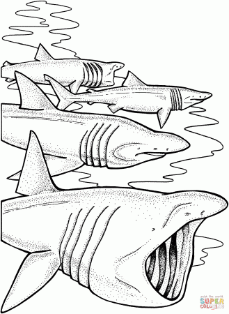 Basking shark coloring pages | Free Coloring Pages