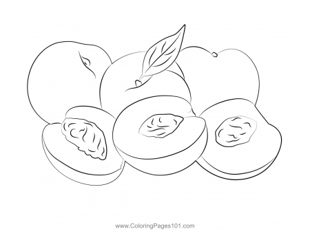 Peaches And Nectarines Coloring Page for Kids - Free Nectarine Printable Coloring  Pages Online for Kids - ColoringPages101.com | Coloring Pages for Kids