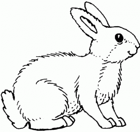 Great And Funny Rabbit Coloring Pages - Rabbit Coloring Pages 