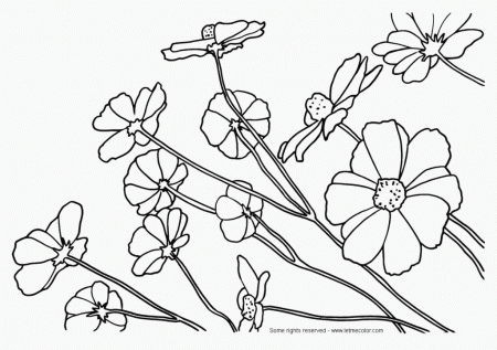 related searches for november coloring pages