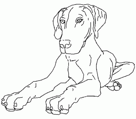 Dogs Coloring Pages 4 | Free Printable Coloring Pages 