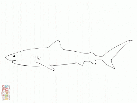 Tiger Shark Coloring Page Super Id 64036 Uncategorized Yoand 