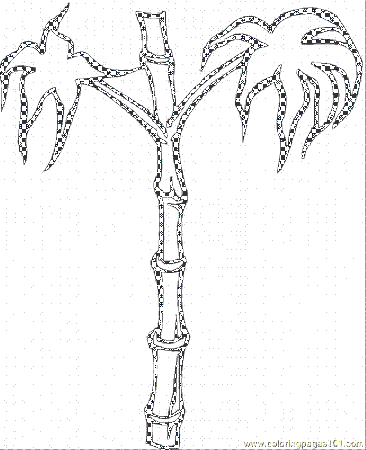 free palm tree Colouring Pages (page 3)