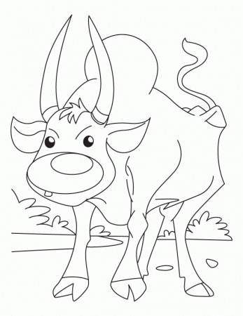 Ox ready for jog coloring pages | Download Free Ox ready for jog 