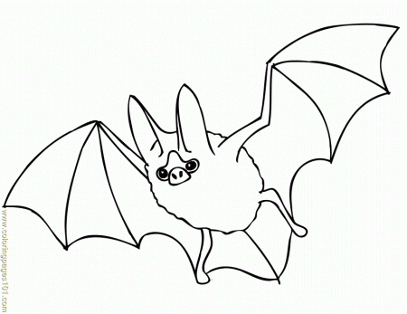Free Printable Coloring Page Flying Bat 650x841 Animals Others 