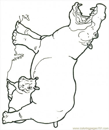 Coloring Pages Mural Hhl Hippo With Baby (Mammals > Hippopotamus 