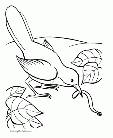 Animal coloring pages - Birds | Color Pages