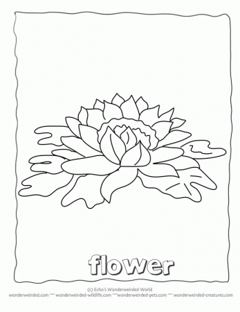 Flower Coloring Sheets A-Z,Free Printable Flower Coloring Pages