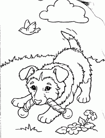 Puppy Coloring in Pages | Puppy Coloring