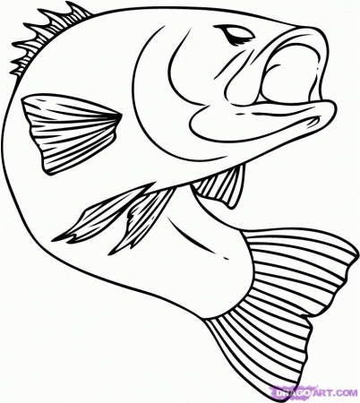 How to Draw a Bass, Step by Step, Fish, Animals, FREE Online 