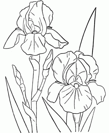 Spring Scenes Coloring Page 15 - Spring Coloring Sheets: Bluebonkers