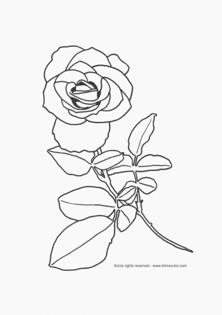 Amy Rose Coloring Pages Drawing And Coloring For Kids 237666 
